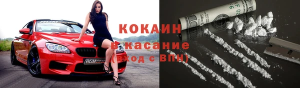 сатива Белоозёрский