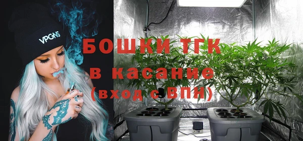 сатива Белоозёрский