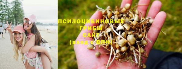 альфа пвп VHQ Белокуриха